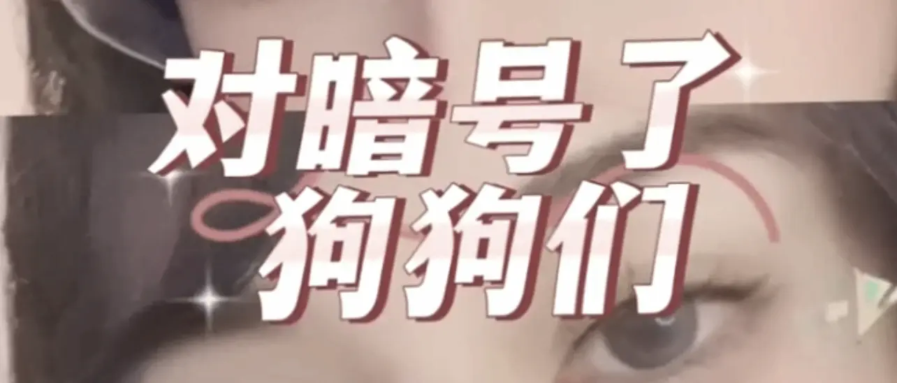 西檬之家字母圈管教是什么意思?小圈管教是什么? 一