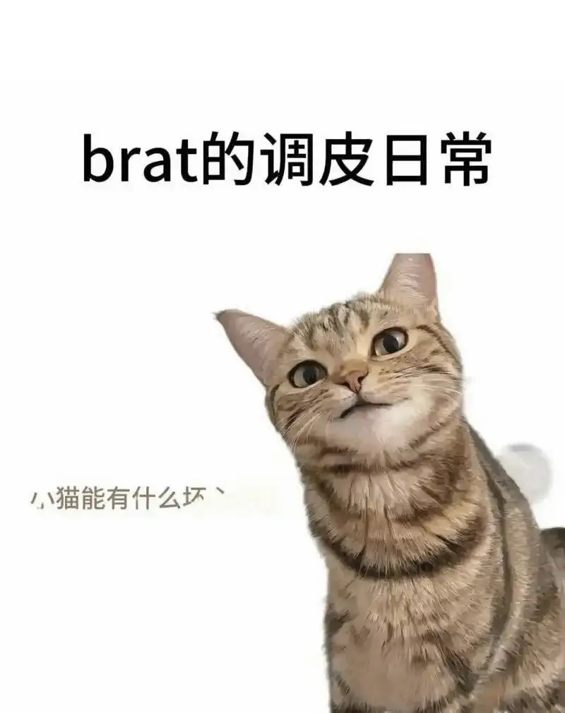 西檬之家M倾向是什么意思? 一