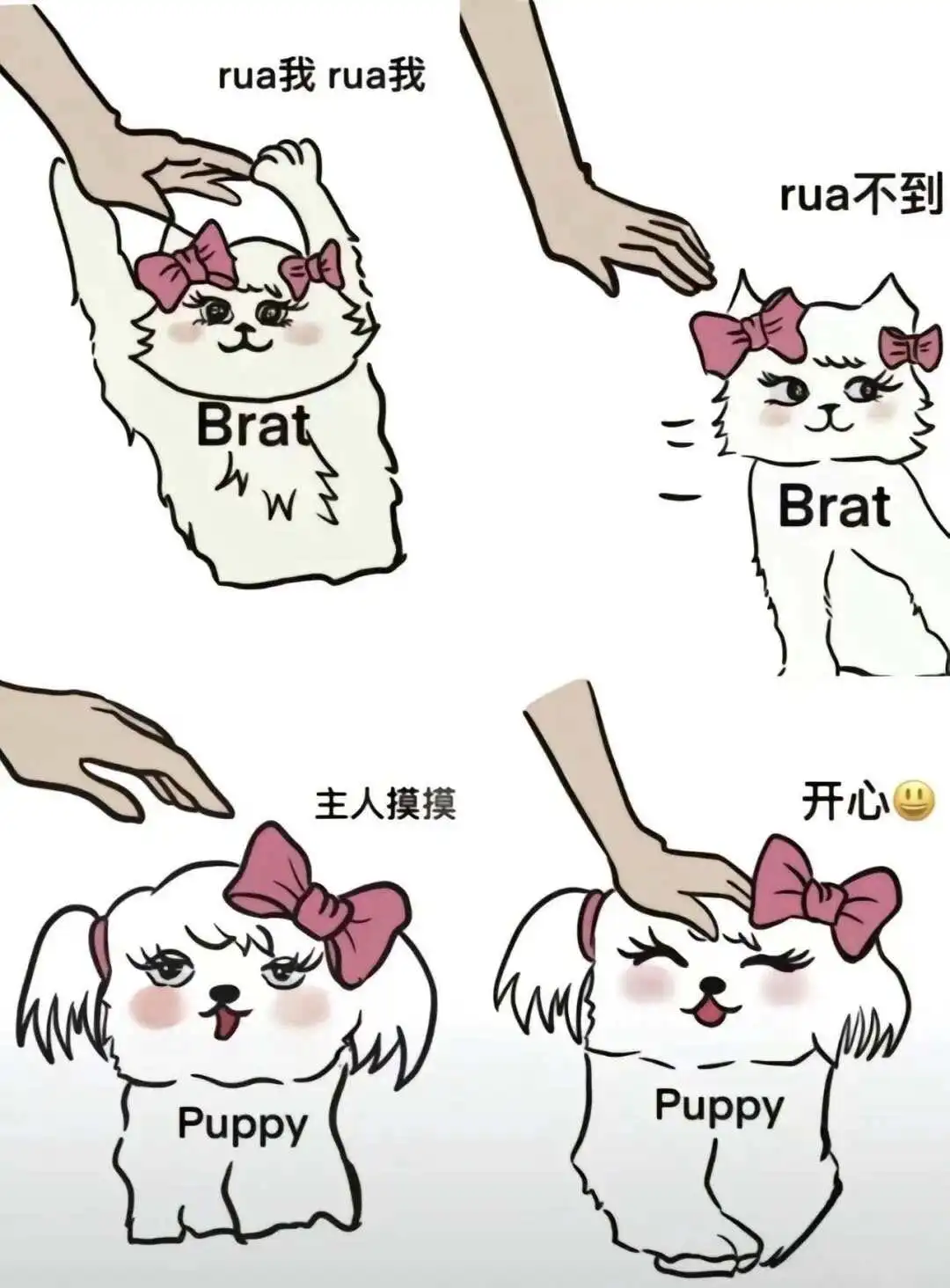 西檬之家sp小圈入门:新手如何快速了解这一亚文化分支? 一