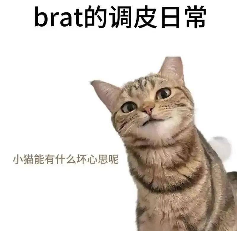 西檬之家字母圈DT是什么?Dirty Talk新人入圈指南 一