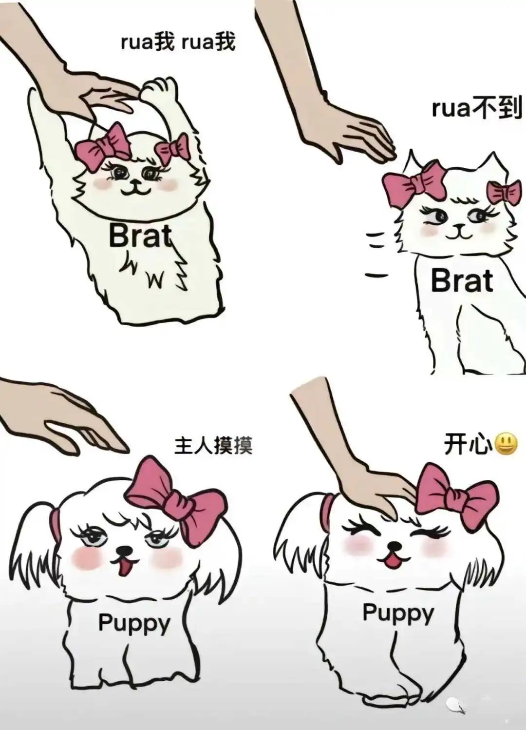 西檬之家字母圈恋物癖是什么?新人入圈指南 一