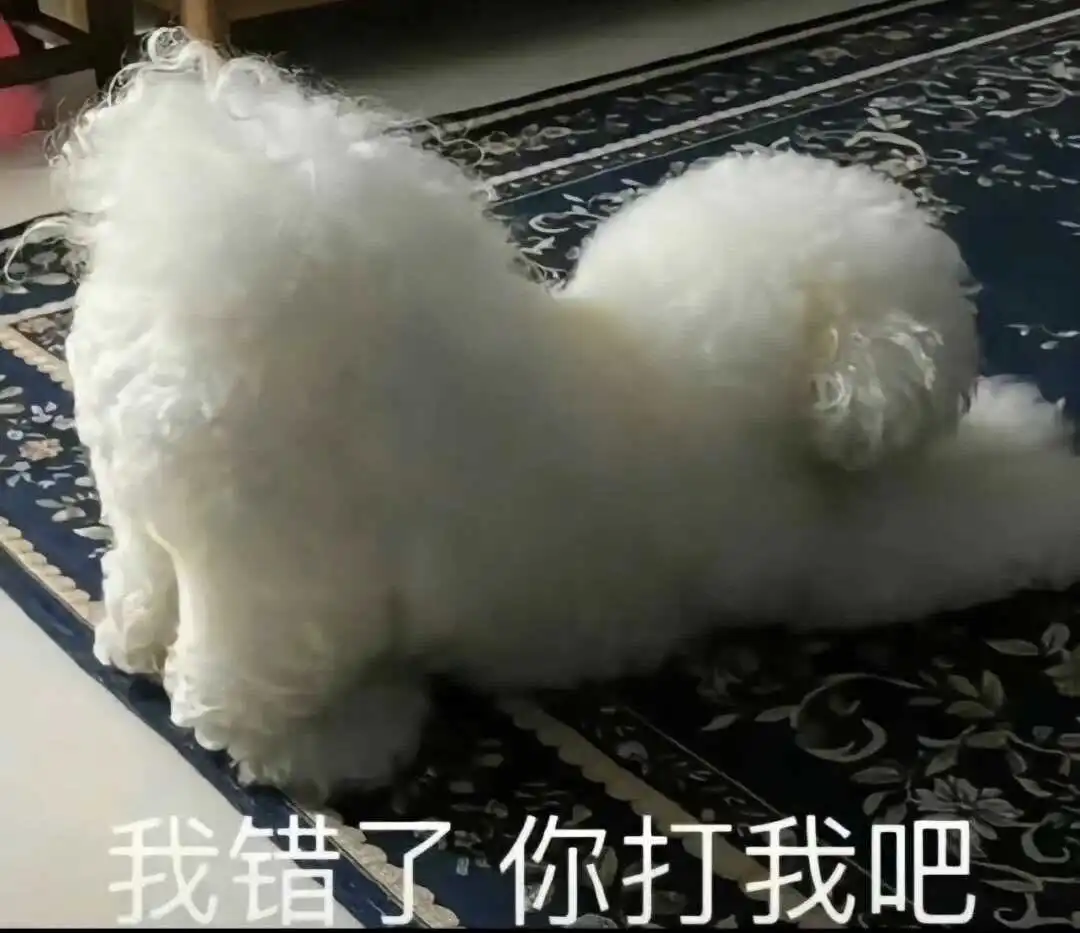西檬之家字母圈安全词是什么? 一