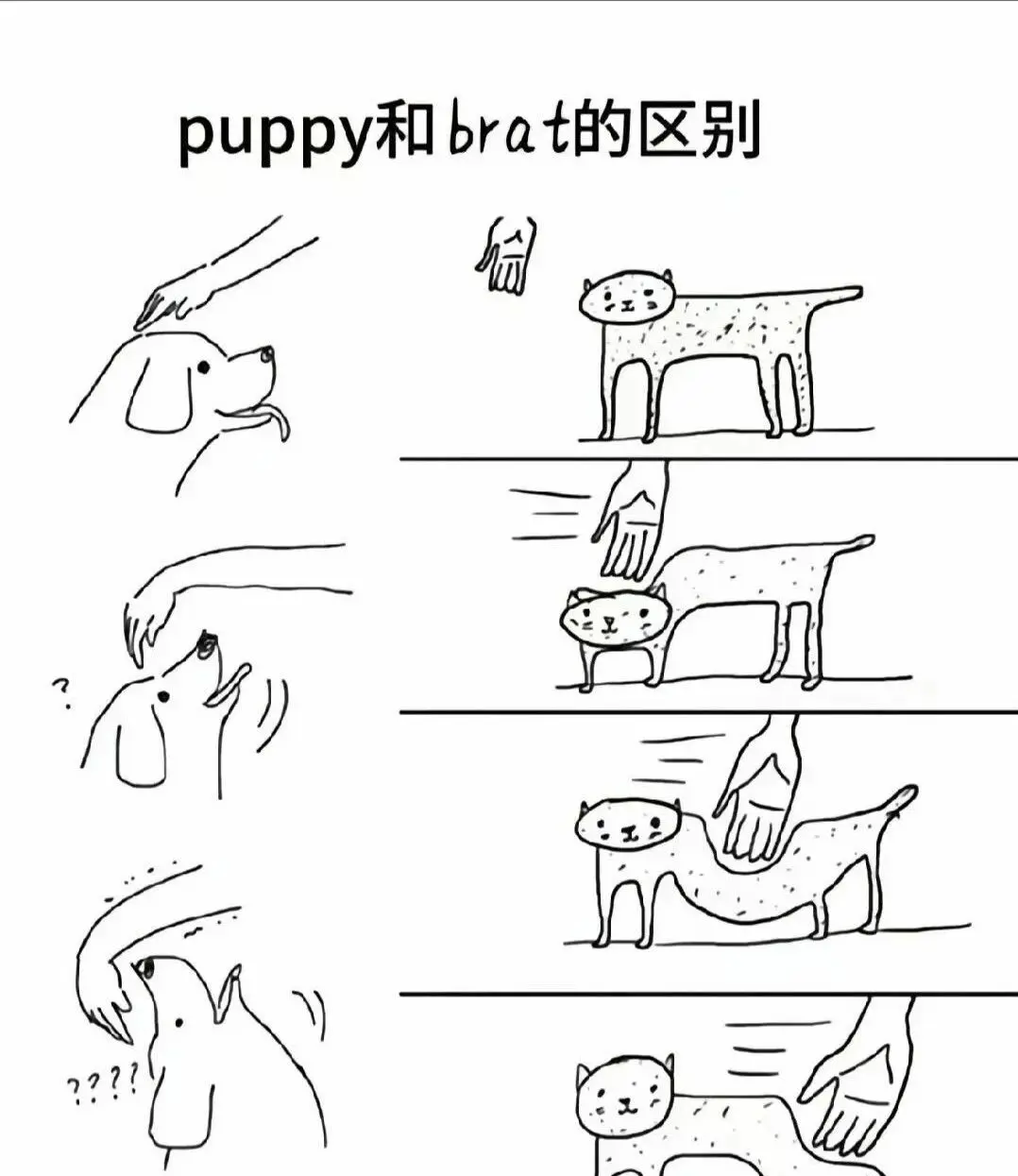 西檬之家你有s倾向吗?字母圈支配者解析 一