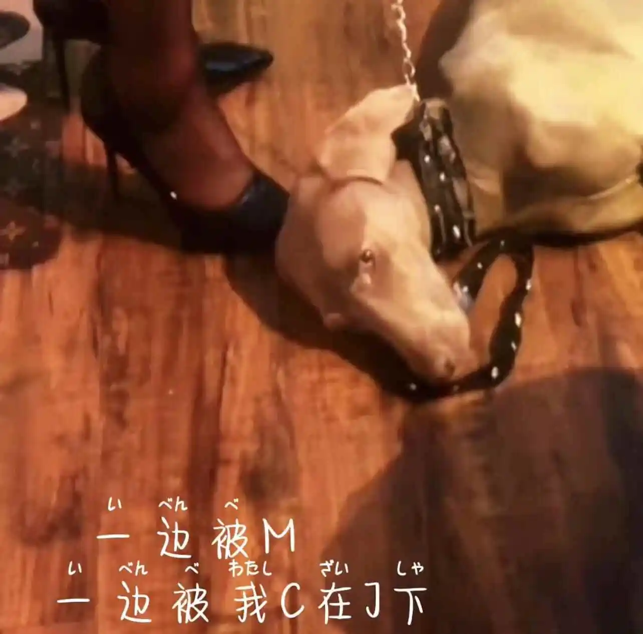 西檬之家dirty talk是什么?字母圈术语解析 一