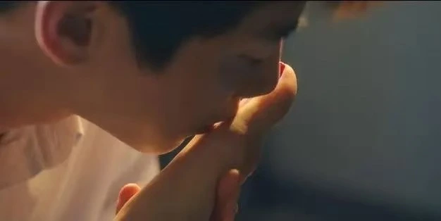 西檬之家k9犬系是什么? 一