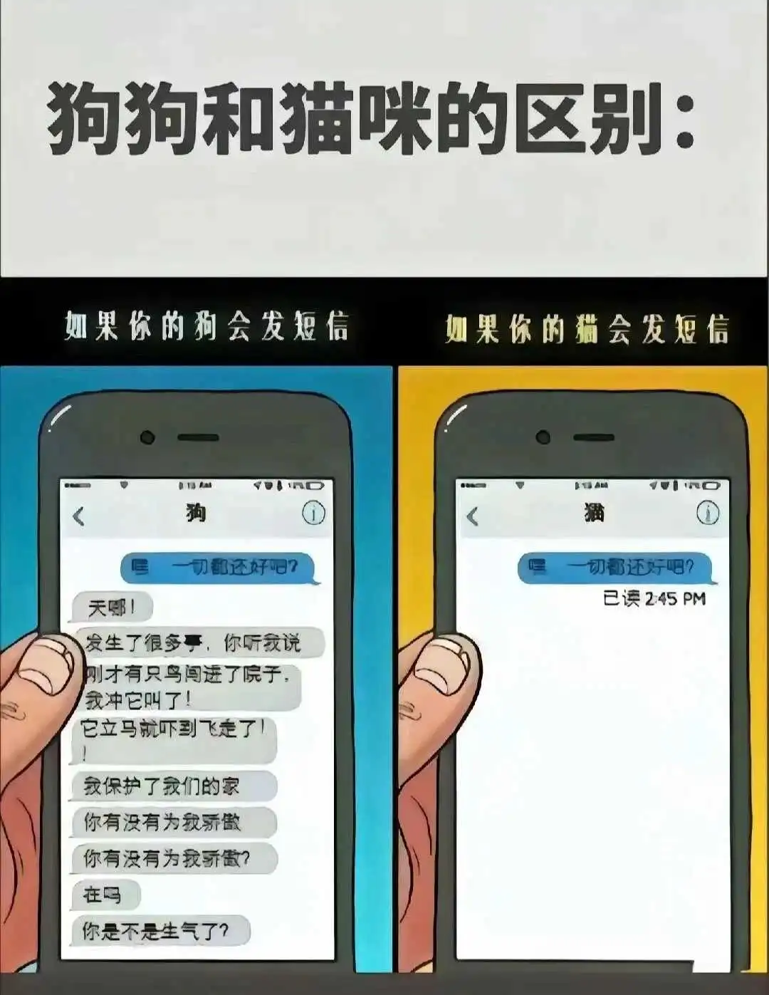 西檬之家Brat属性是什么意思? 一